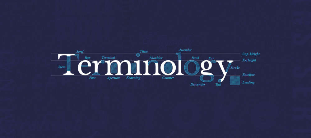 type-terms-terminology